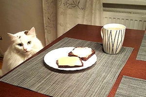 発達障害者と小麦とグルテンフリーと栄養学と炭水化物と血糖値