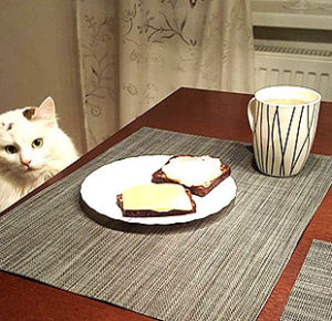 発達障害者と小麦とグルテンフリーと栄養学と炭水化物と血糖値