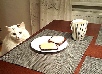 発達障害者と小麦とグルテンフリーと栄養学と炭水化物と血糖値