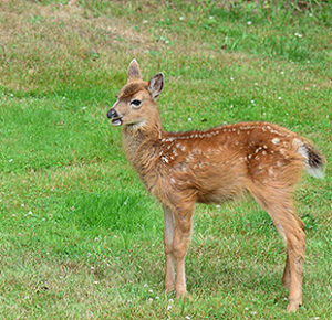 発達障害グレーゾーンと仕事環境問題
