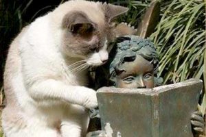 引きこもり大人の発達障害グレーゾーンの仕事や生活の困りごとを解決上手な人付き合いの方法コミュニケーション