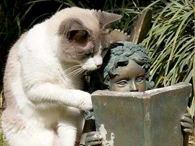 引きこもり大人の発達障害グレーゾーンの仕事や生活の困りごとを解決上手な人付き合いの方法コミュニケーション