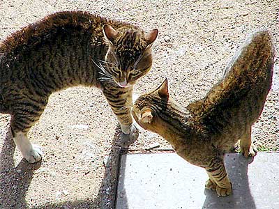 引きこもり大人の発達障害グレーゾーンの仕事や生活の困りごとを解決上手な人付き合いの方法コミュニケーション