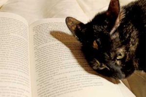 大人の発達障害グレーゾーンの仕事や生活の困りごとを解決上手な人付き合いの方法、中高年のひきこもり問題とNHKあさイチ！特集