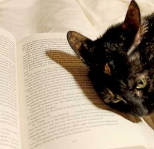 大人の発達障害グレーゾーンの仕事や生活の困りごとを解決上手な人付き合いの方法、中高年のひきこもり問題とNHKあさイチ！特集