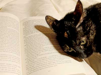 大人の発達障害グレーゾーンの仕事や生活の困りごとを解決上手な人付き合いの方法、中高年のひきこもり問題とNHKあさイチ！特集