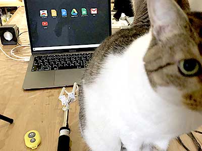 大人の発達障害グレーゾーンの仕事や生活の困りごとを解決上手な人付き合いの方法、中高年のひきこもり問題とNHKあさイチ!特集