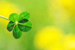 引きこもり大人の発達障害グレーゾーンの仕事や生活の困りごとを解決上手な人付き合いの方法コミュニケーション