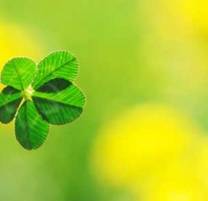 引きこもり大人の発達障害グレーゾーンの仕事や生活の困りごとを解決上手な人付き合いの方法コミュニケーション