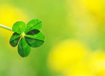 引きこもり大人の発達障害グレーゾーンの仕事や生活の困りごとを解決上手な人付き合いの方法コミュニケーション