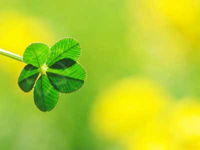 引きこもり大人の発達障害グレーゾーンの仕事や生活の困りごとを解決上手な人付き合いの方法コミュニケーション