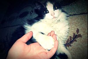 引きこもり大人の発達障害グレーゾーンの仕事や生活の困りごとを解決上手な人付き合いの方法コミュニケーション