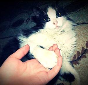 引きこもり大人の発達障害グレーゾーンの仕事や生活の困りごとを解決上手な人付き合いの方法コミュニケーション