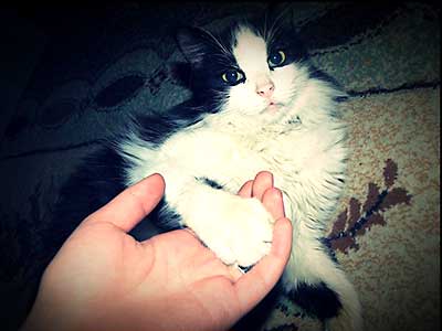 引きこもり大人の発達障害グレーゾーンの仕事や生活の困りごとを解決上手な人付き合いの方法コミュニケーション