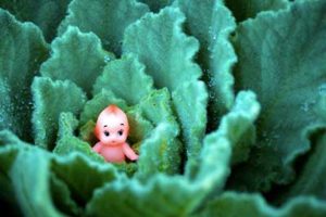 大人の発達障害グレーゾーンの仕事や生活の困りごとを解決上手な人付き合いの方法、中高年のひきこもり問題とNHKあさイチ！特集