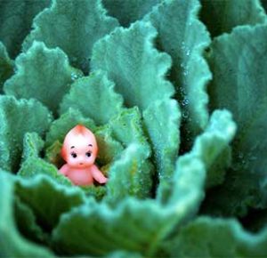 大人の発達障害グレーゾーンの仕事や生活の困りごとを解決上手な人付き合いの方法、中高年のひきこもり問題とNHKあさイチ！特集