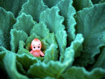 大人の発達障害グレーゾーンの仕事や生活の困りごとを解決上手な人付き合いの方法、中高年のひきこもり問題とNHKあさイチ!特集