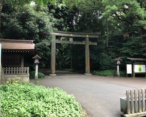 明治神宮引きこもり大人の発達障害グレーゾーンの仕事や生活の困りごとを解決上手な人付き合いの方法コミュニケーション韓流防弾少年団BTSアイドル推し活