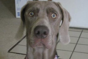 引きこもり大人の発達障害グレーゾーンの仕事や生活の困りごとを解決上手な人付き合いの方法コミュニケーション韓流防弾少年団BTSアイドル推し活