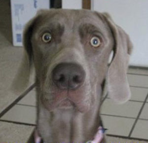 引きこもり大人の発達障害グレーゾーンの仕事や生活の困りごとを解決上手な人付き合いの方法コミュニケーション韓流防弾少年団BTSアイドル推し活