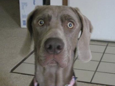 引きこもり大人の発達障害グレーゾーンの仕事や生活の困りごとを解決上手な人付き合いの方法コミュニケーション韓流防弾少年団BTSアイドル推し活