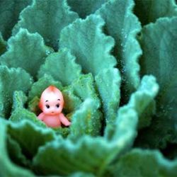 大人の発達障害グレーゾーンの仕事や生活の困りごとを解決上手な人付き合いの方法、中高年のひきこもり問題とNHKあさイチ！特集